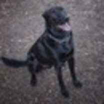 Thumbnail photo of Snicks #2