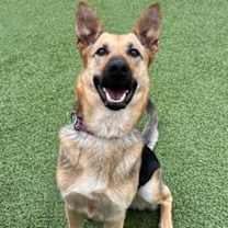 Thumbnail photo of Lena #1