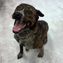 Thumbnail photo of Una #1