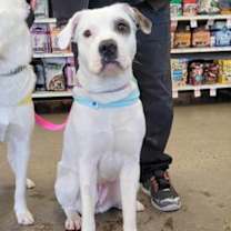 Thumbnail photo of Hecate #1