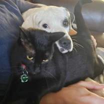 Thumbnail photo of Hecate #2