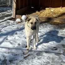 Thumbnail photo of Elliott #1