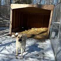 Thumbnail photo of Elliott #2