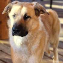 Thumbnail photo of Elliott #3