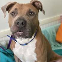 Thumbnail photo of Footloose #1