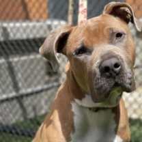 Thumbnail photo of Footloose #2