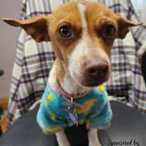 Thumbnail photo of Harbor #2