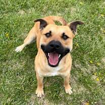 Thumbnail photo of Ares #1