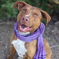 Thumbnail photo of Sugar #1