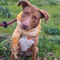 Thumbnail photo of Sugar #2