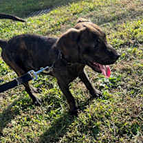 Thumbnail photo of Nolan #1