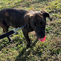 Thumbnail photo of Nolan #2