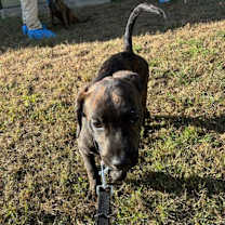 Thumbnail photo of Nolan #3