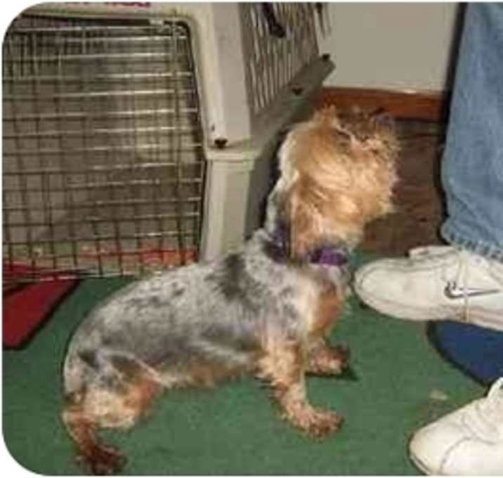 Photo of Lilly and Sara