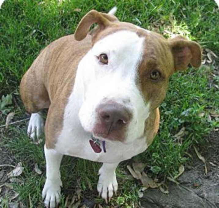 Photo of Vayda-Sponsor Only