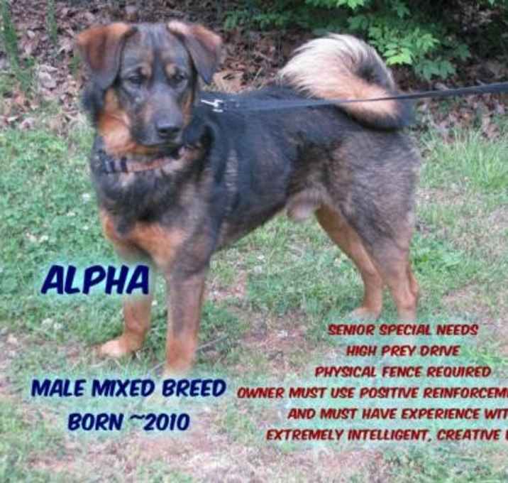 Photo of Alpha