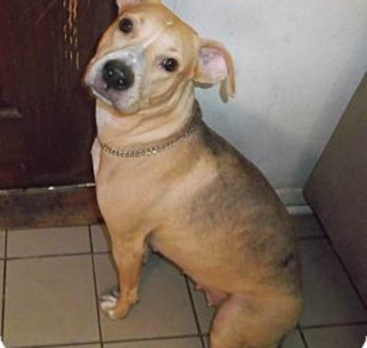 Photo of Shelley (786) 203-5962