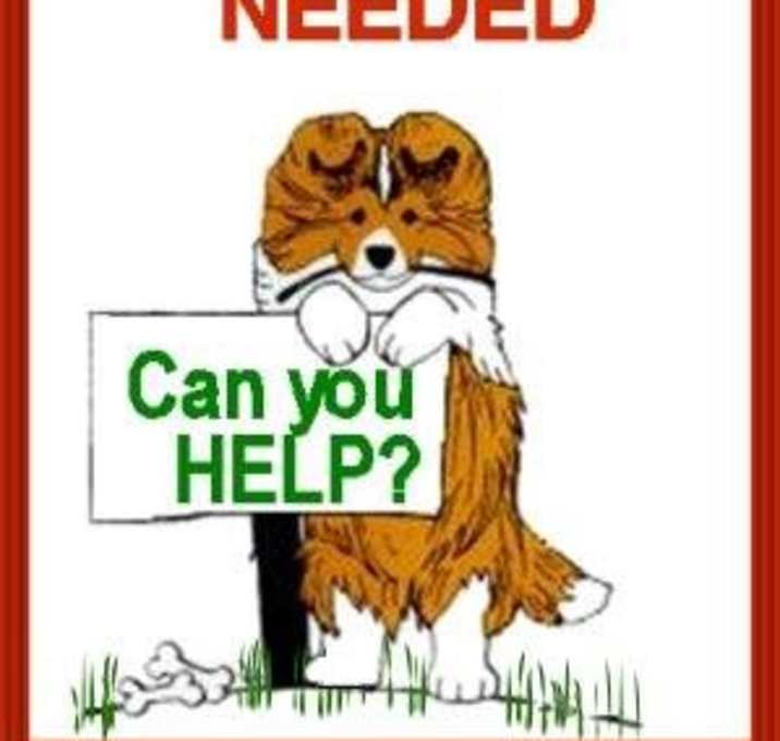 Photo of Foster Homes Needed