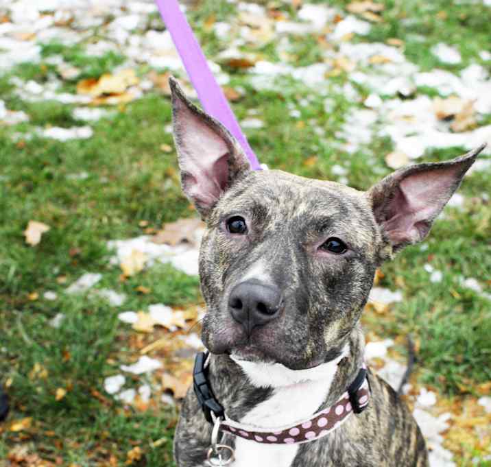 Photo of Milky Way-MISSING