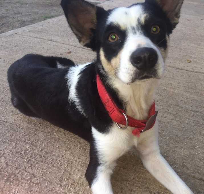 Photo of Luna del Mar