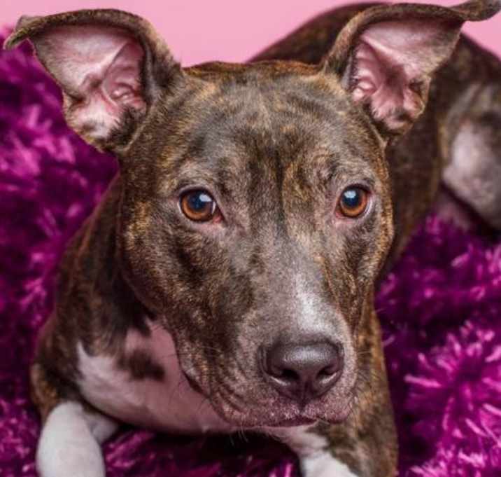 Photo of Betty Rue (courtesy listing)