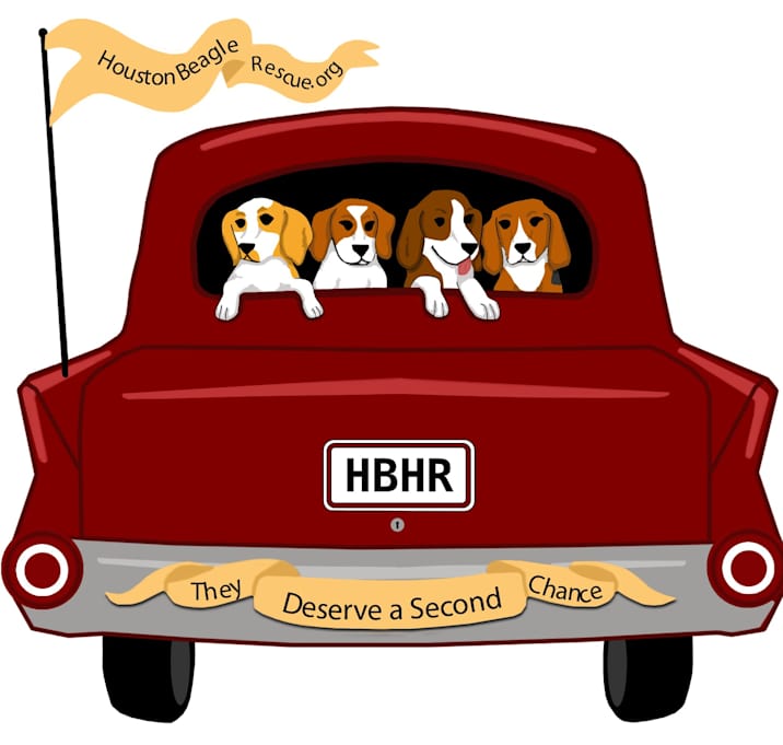 Photo of Where are all the beagles???