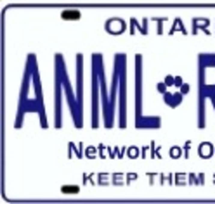 Photo of Our Adopted Dogs of 2015 Video