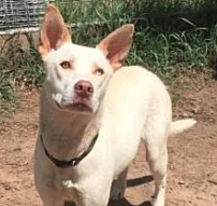 Photo of Jazzy Jasmine