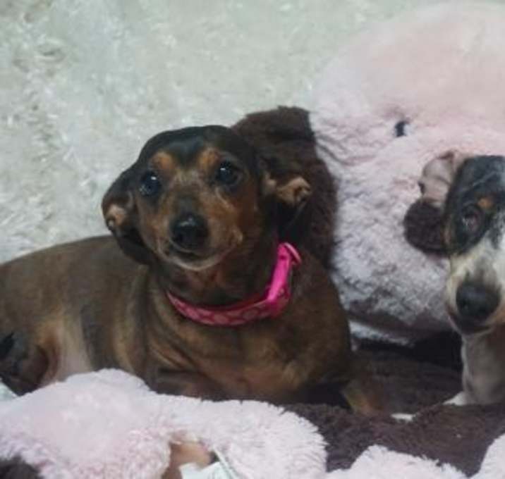 Photo of Hannah and Molly