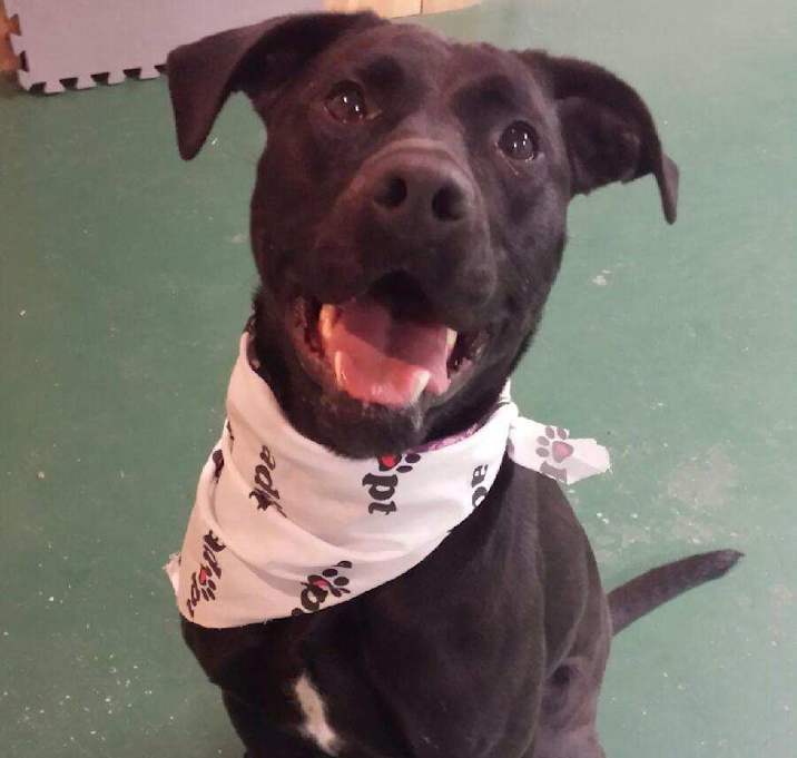 Photo of Becky - in New England