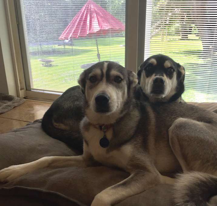 Photo of Murphy and Mackenzie