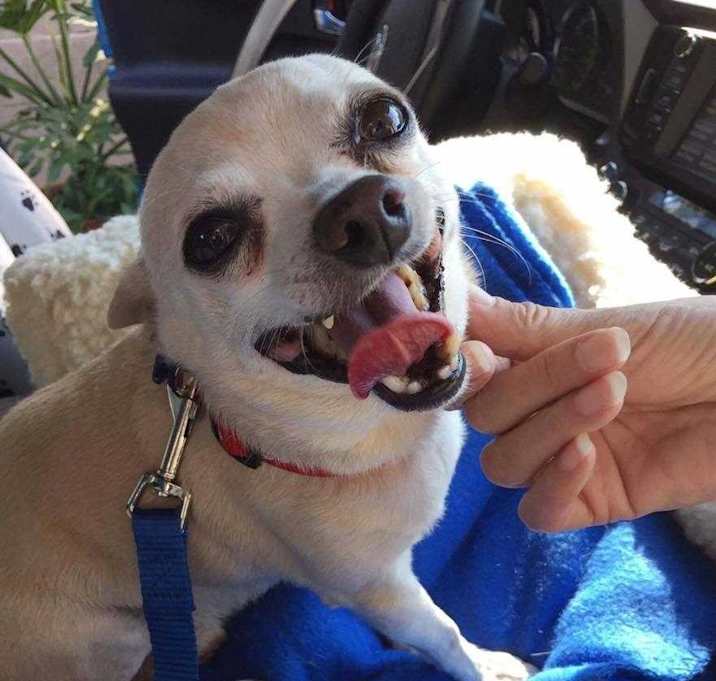 Photo of Captain Crunch