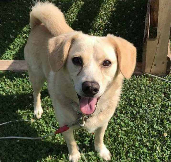 Photo of Harvey Dent