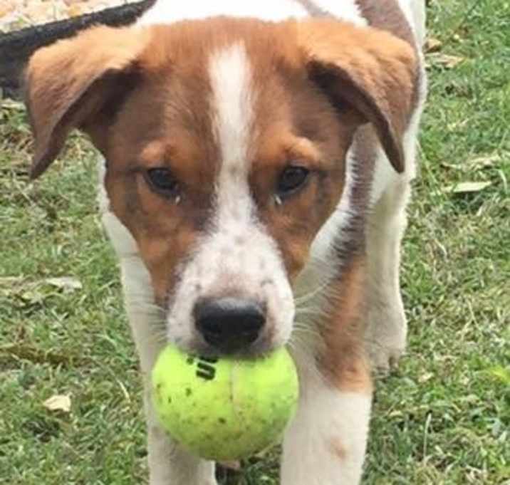 Photo of Little Foot