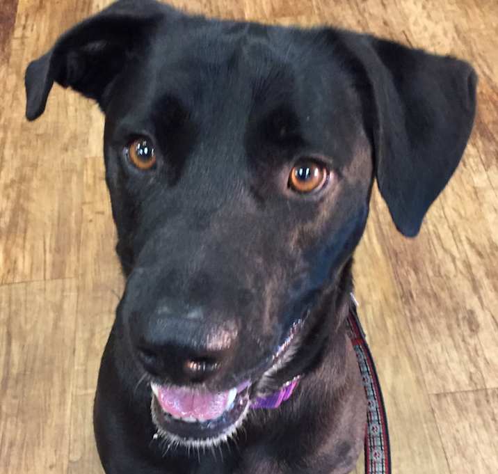 Photo of Harvey Blue