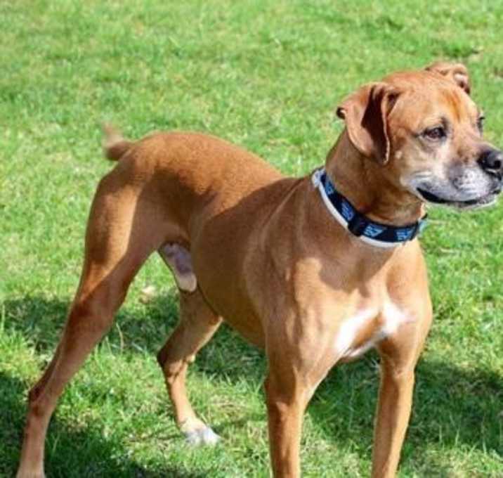 Photo of CAREY GRANT