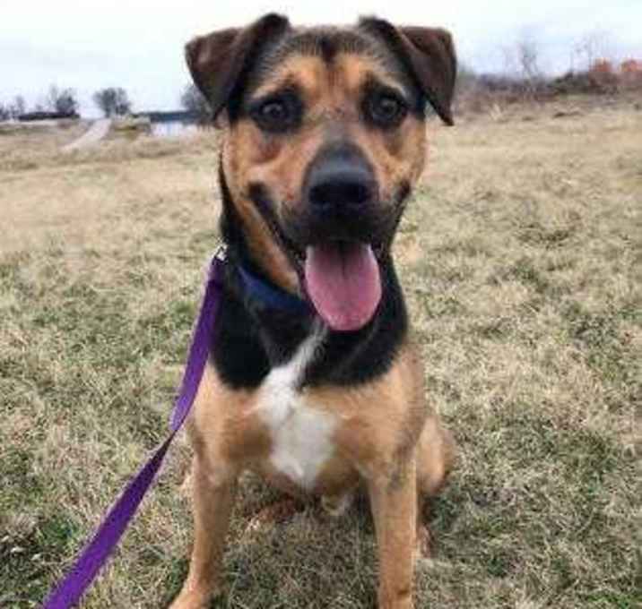 Photo of Wishbone (P4P)