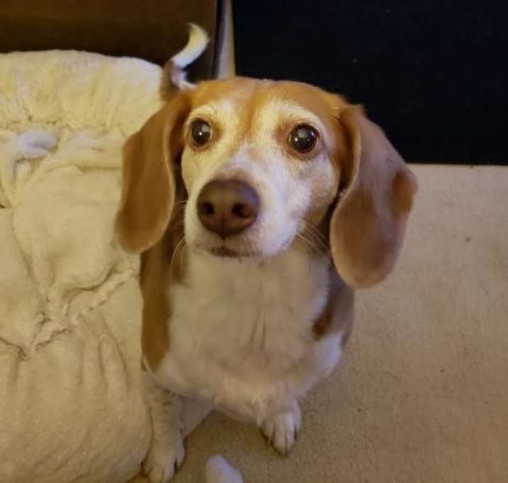 Photo of Tilly Fostered (Jamie F)