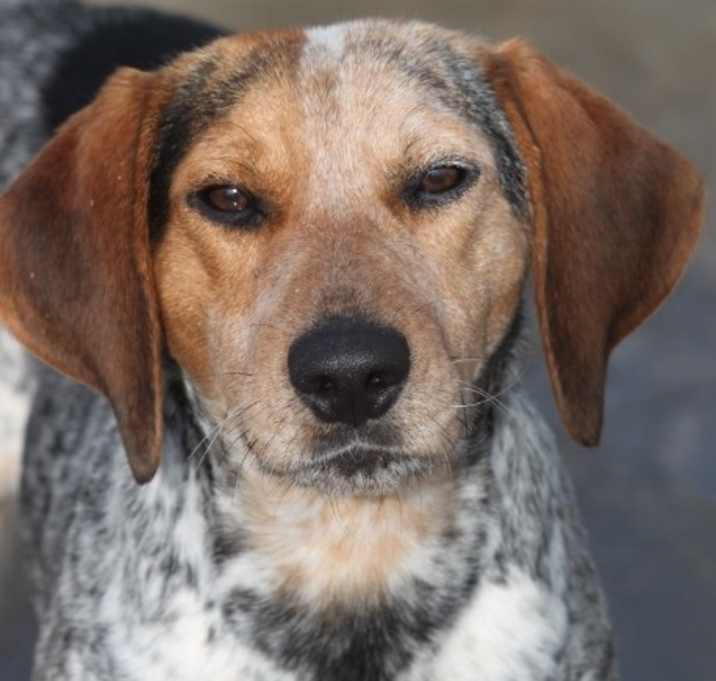 Photo of Christmas Park