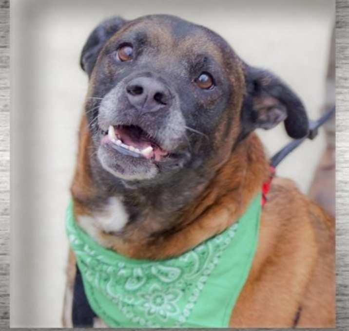 Photo of Mickey *Courtesy Post*