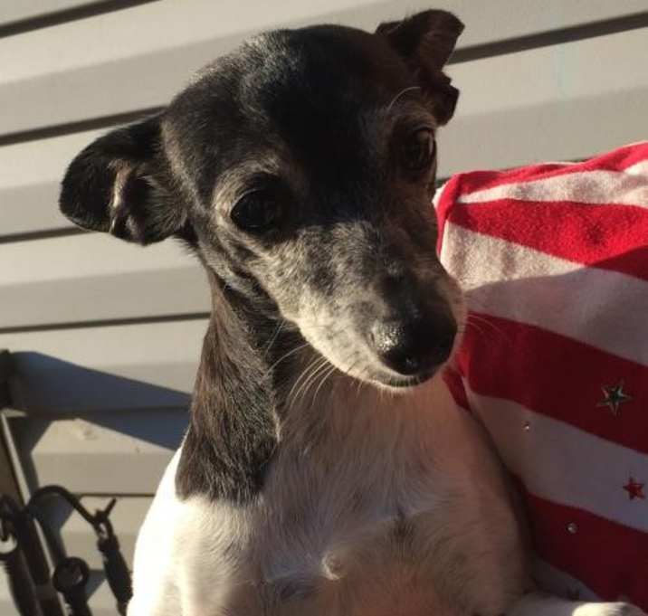 Photo of Maggie in MO in Hospice Care