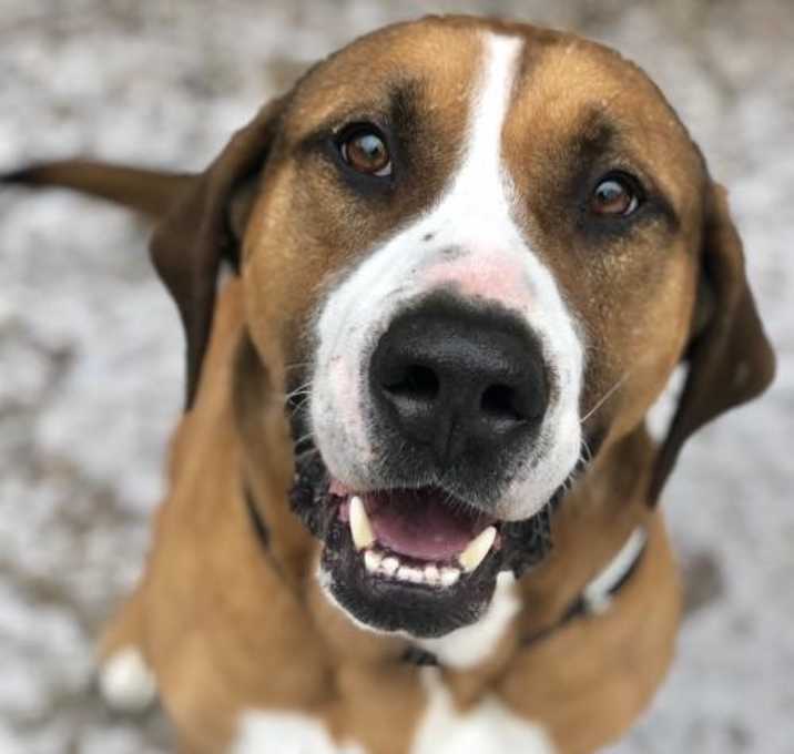 Photo of Handsome Jake