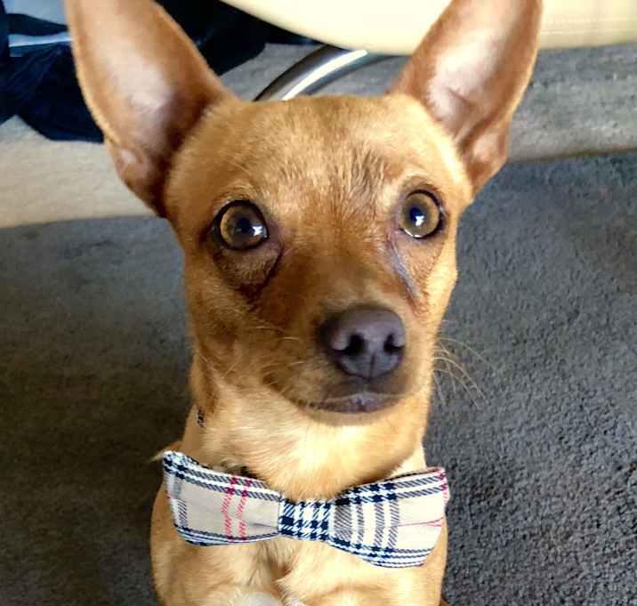 Photo of Jesse Smalls