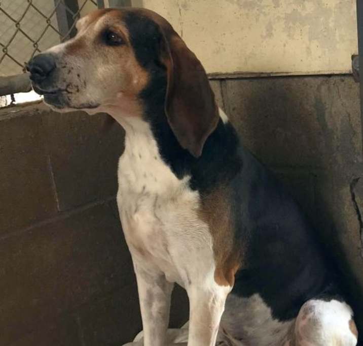 Photo of Kentucky-FOSTER HOME 3/29/2020