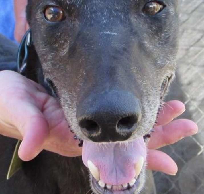 Photo of Fuzzys Boyd