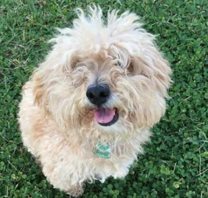 Photo of Charlie Chattanooga