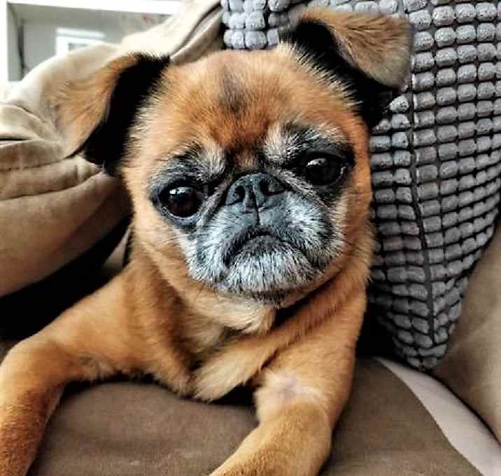 Photo of MASON in Beaverton, OR.