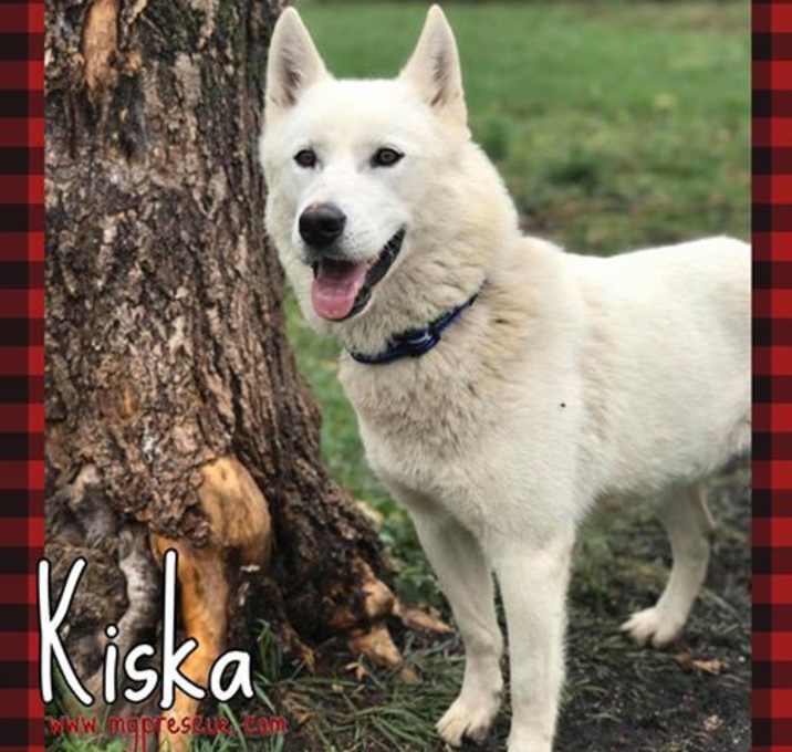 Photo of Kiska
