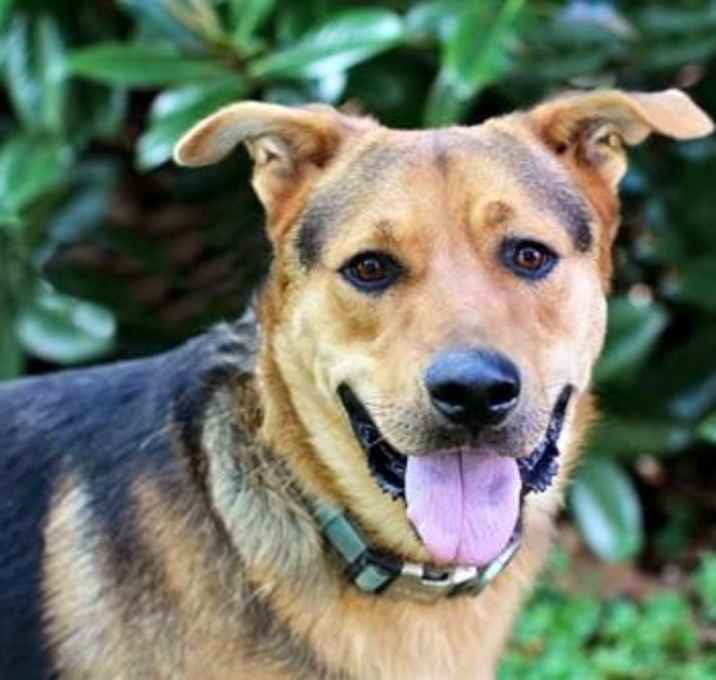 Photo of MR. BRUNO MARS