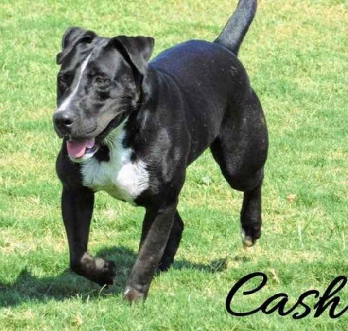 Photo of Cash